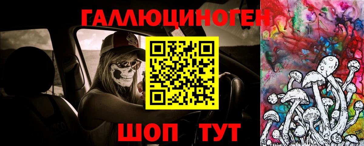 Галлюциногенные грибы ЛСД  Вход с VPN  Дивногорск 